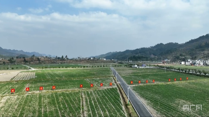 贵州金沙：农业兴盛有“芯片”